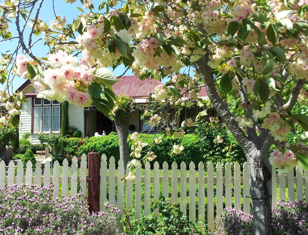 Barnsley House Bed And Breakfast Beechworth Exterior foto
